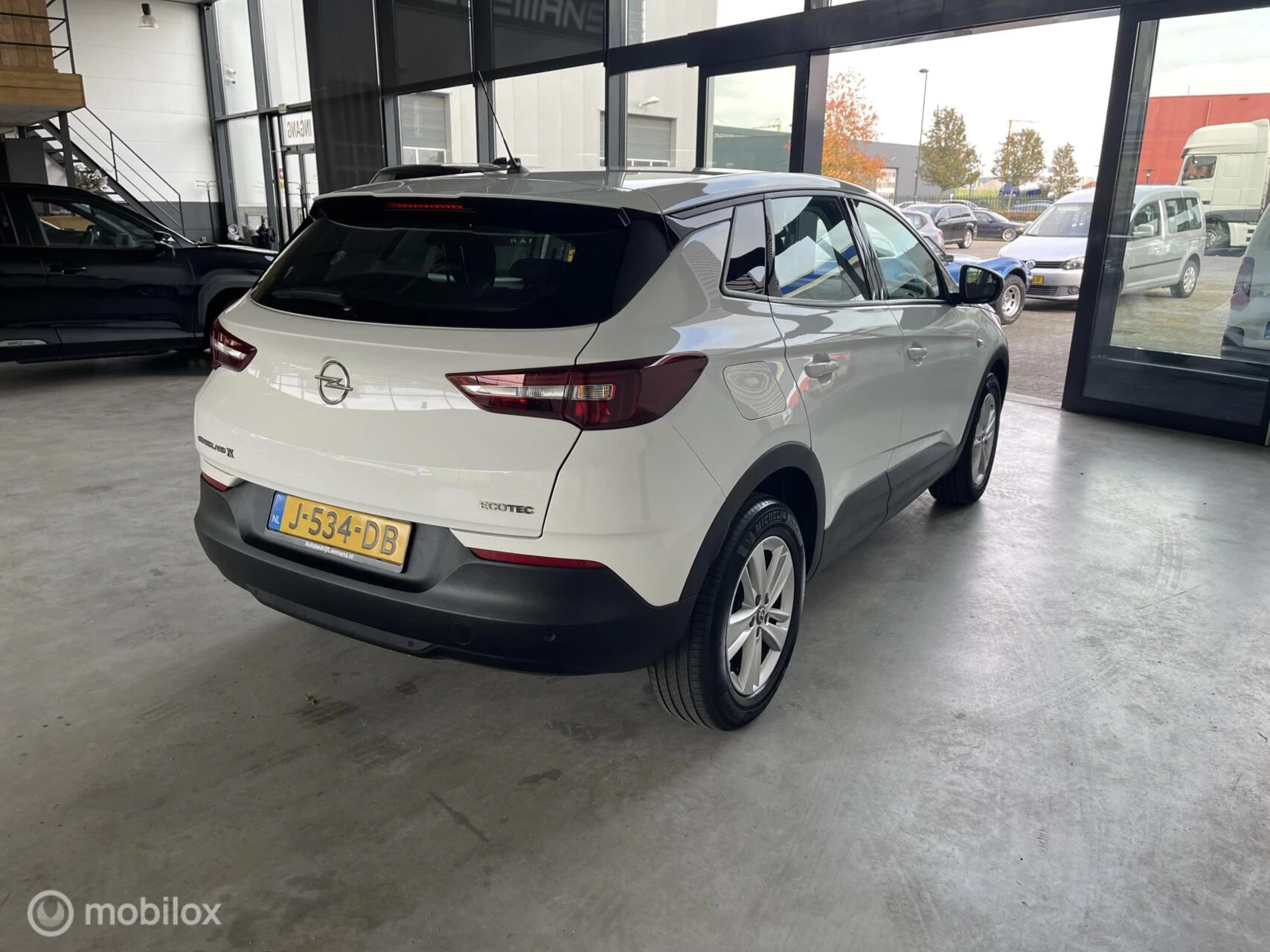 Hoofdafbeelding Opel Grandland X