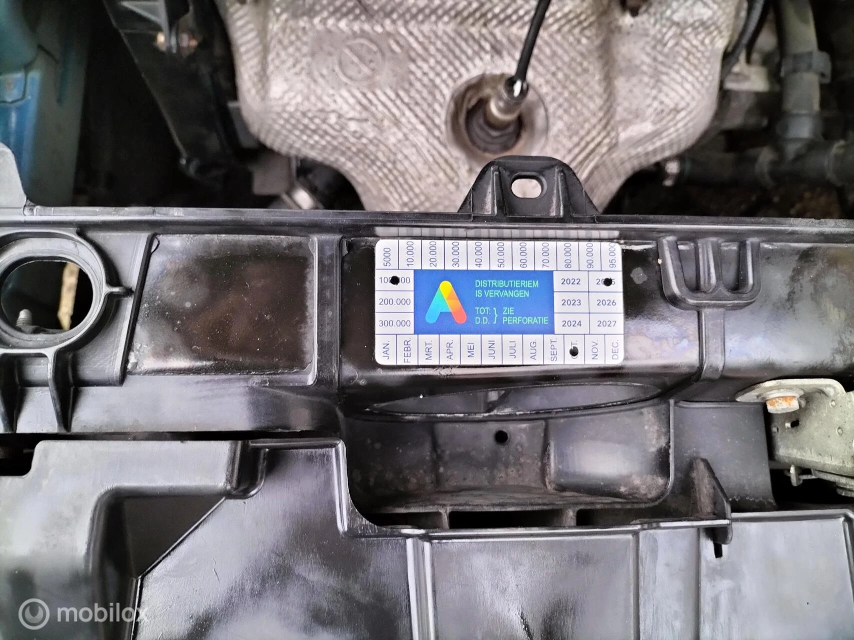 Hoofdafbeelding Fiat Punto