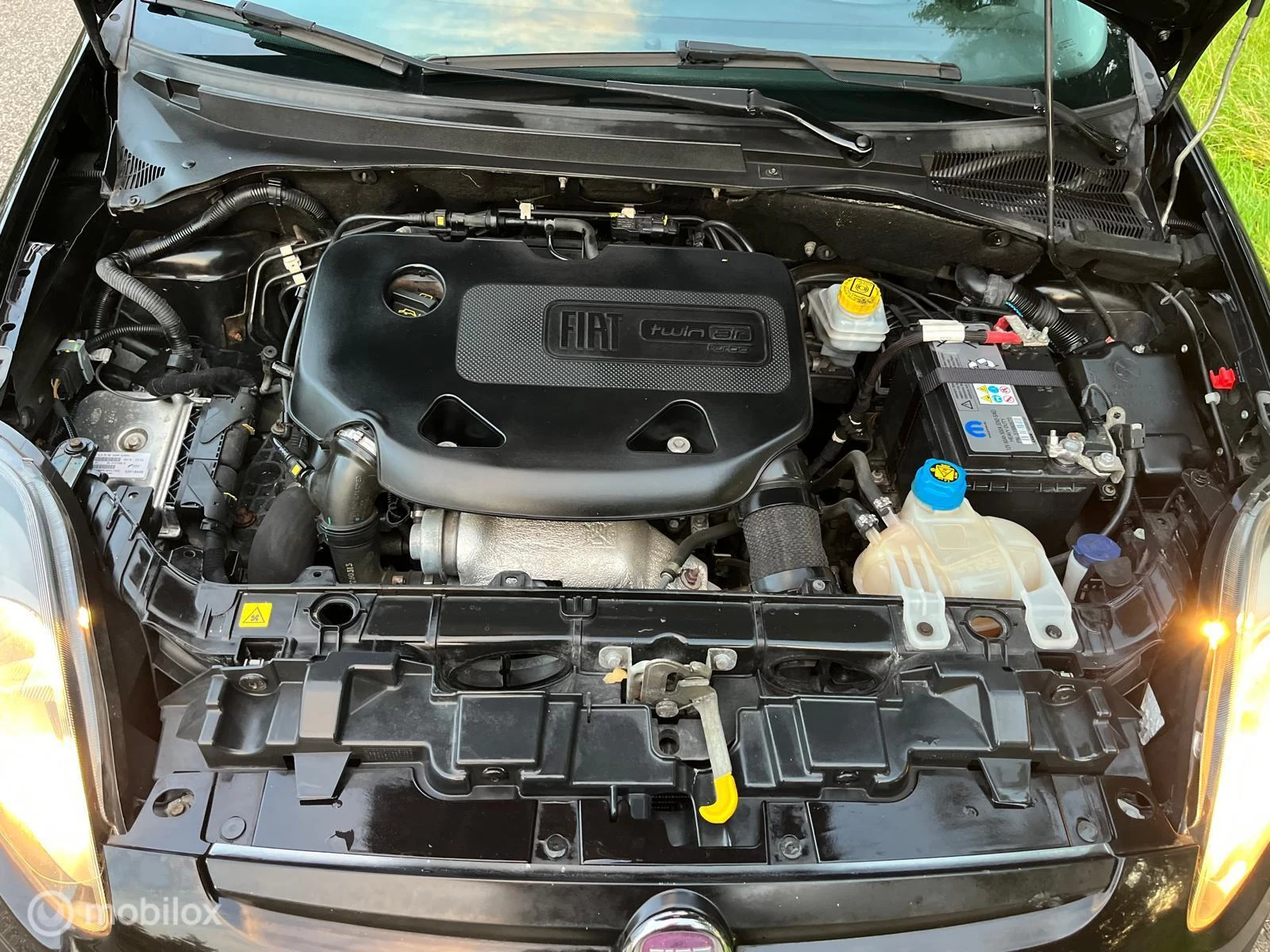 Hoofdafbeelding Fiat Punto