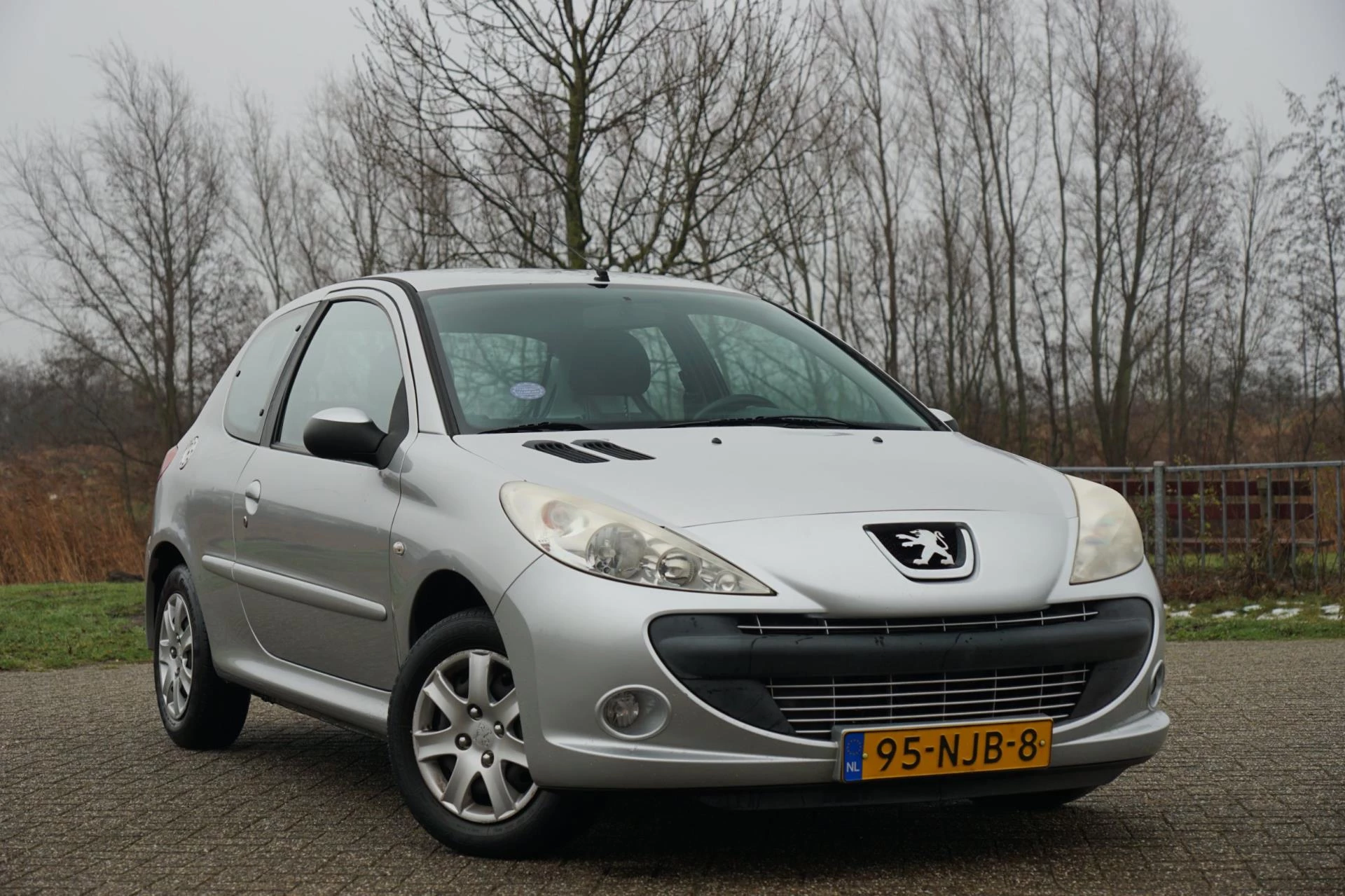 Hoofdafbeelding Peugeot 206
