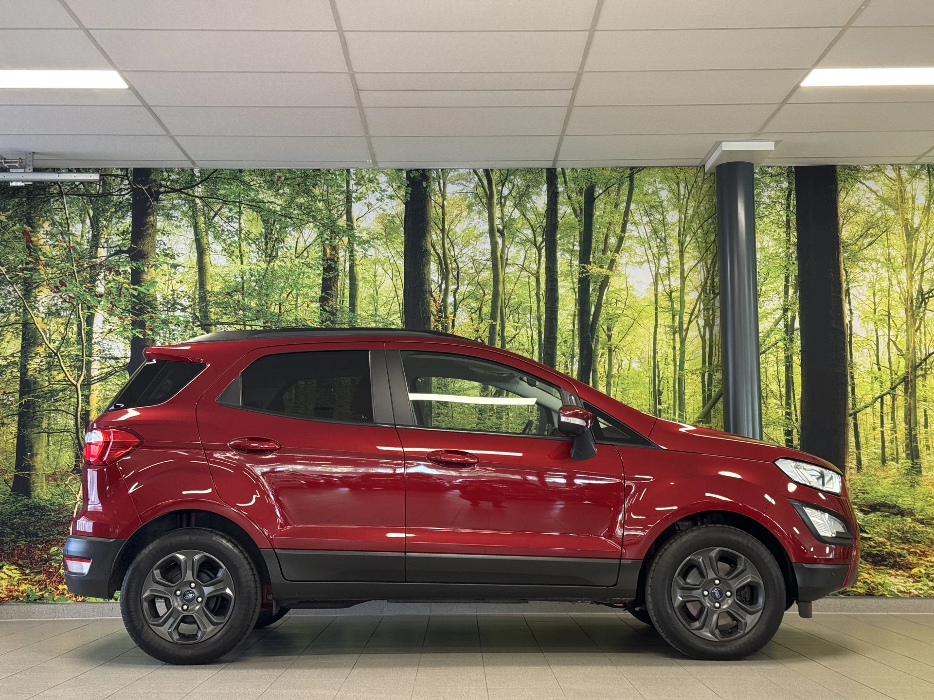 Hoofdafbeelding Ford EcoSport