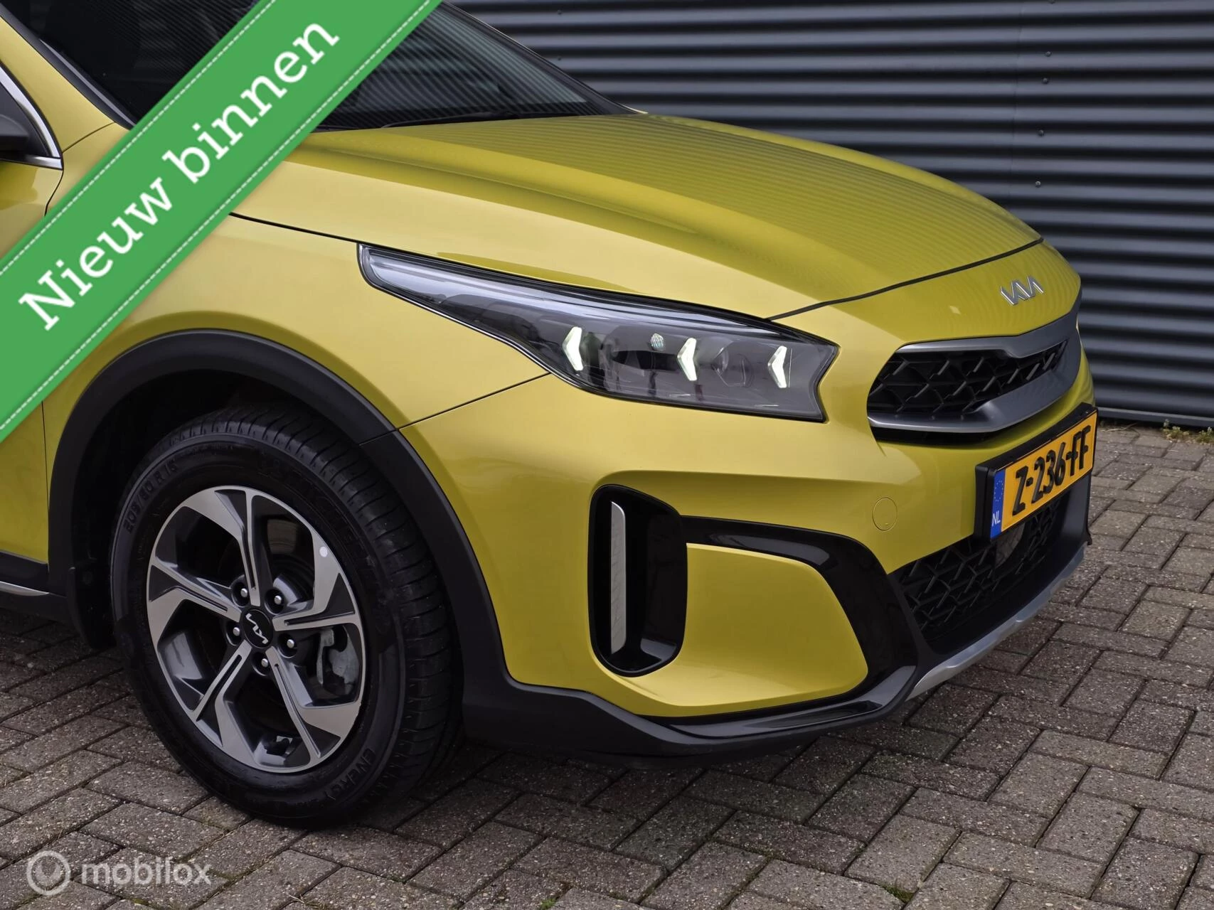 Hoofdafbeelding Kia XCeed