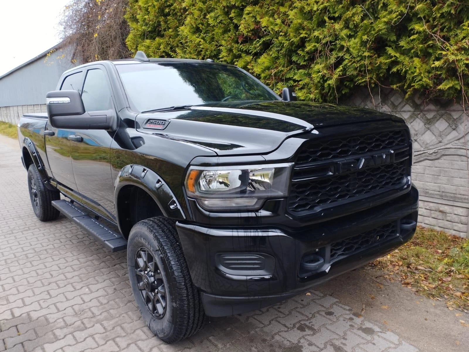 Hoofdafbeelding Dodge Ram Pick-Up