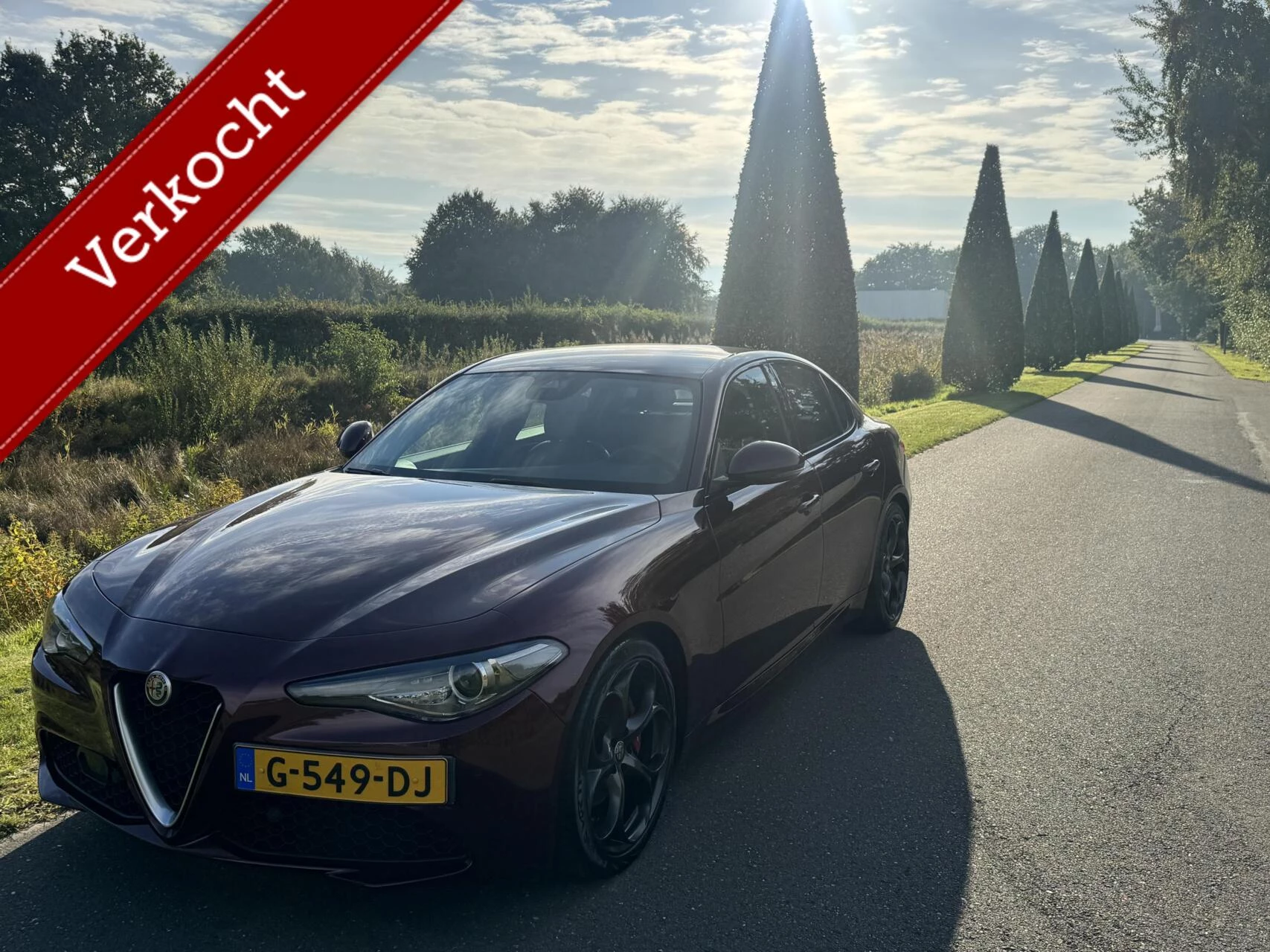 Hoofdafbeelding Alfa Romeo Giulia