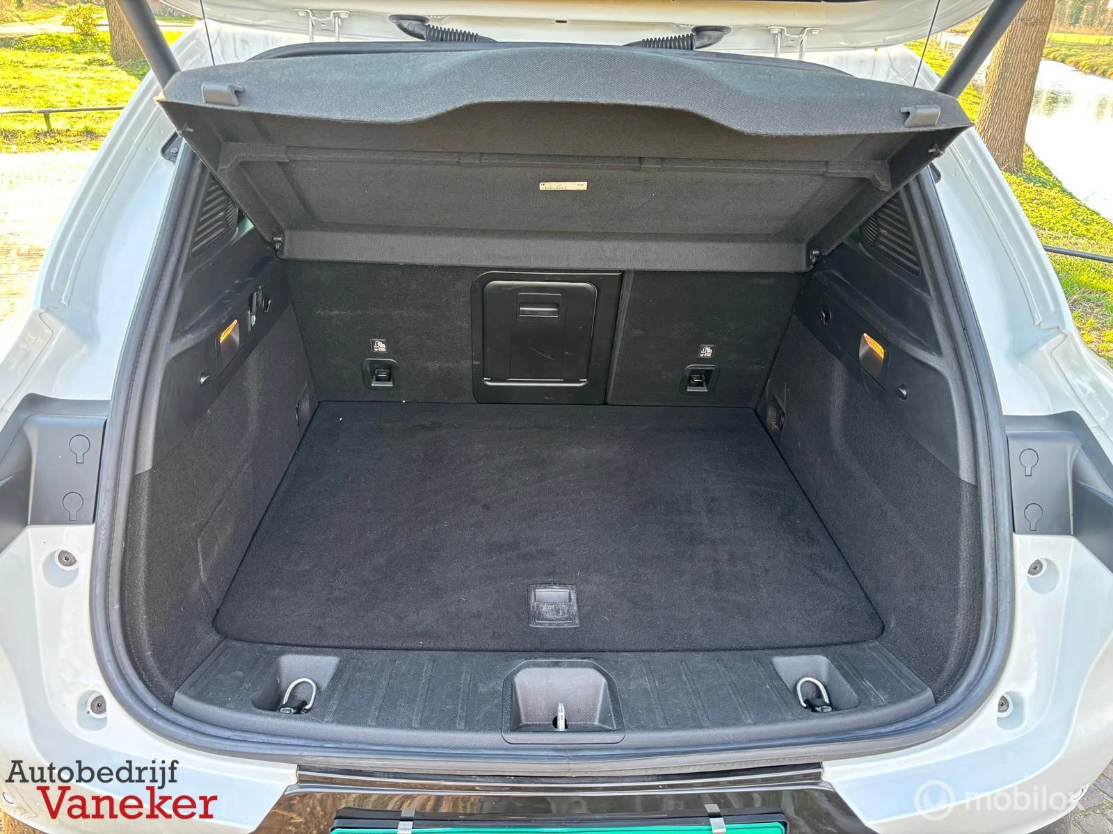 Hoofdafbeelding Alfa Romeo Tonale