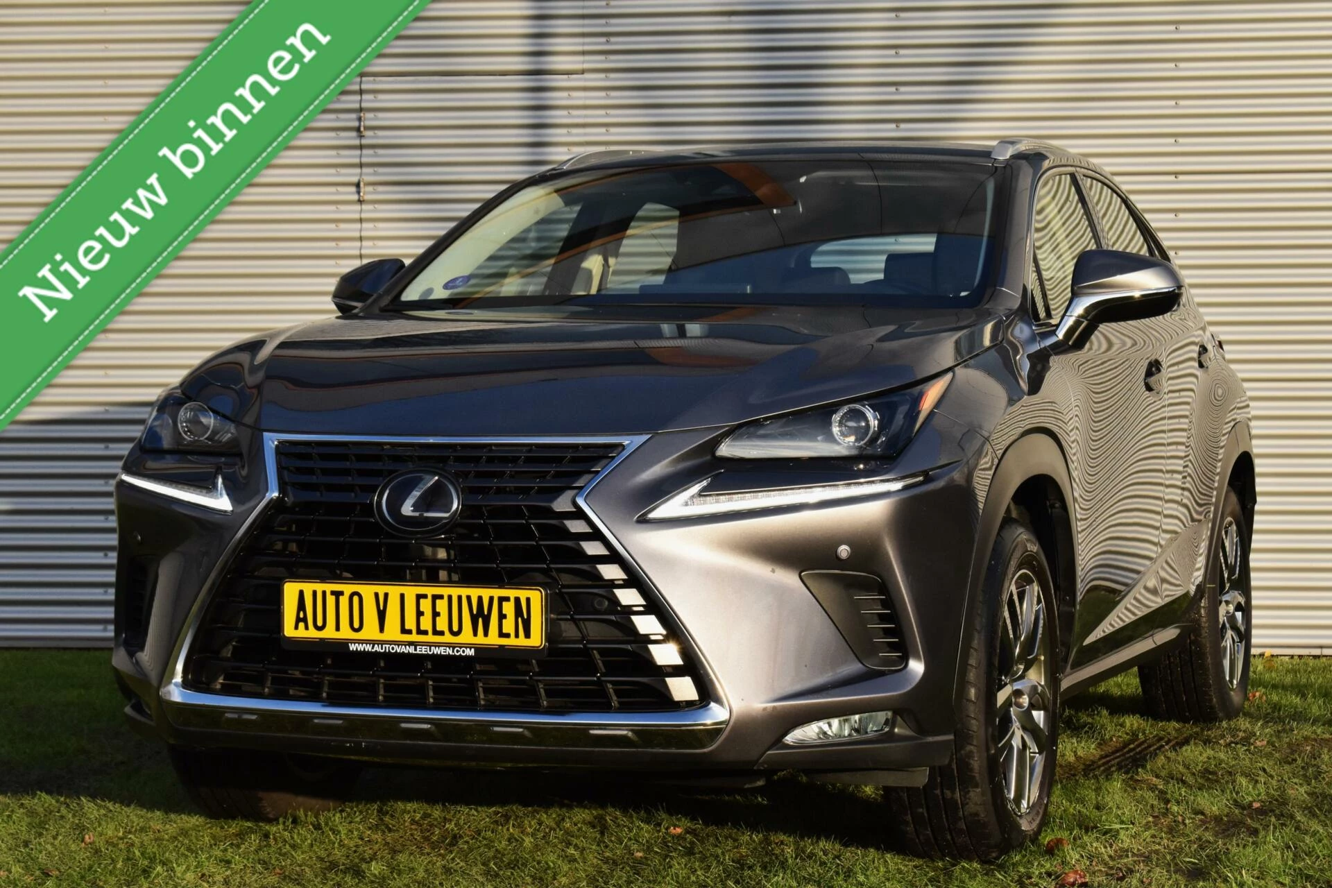 Hoofdafbeelding Lexus NX