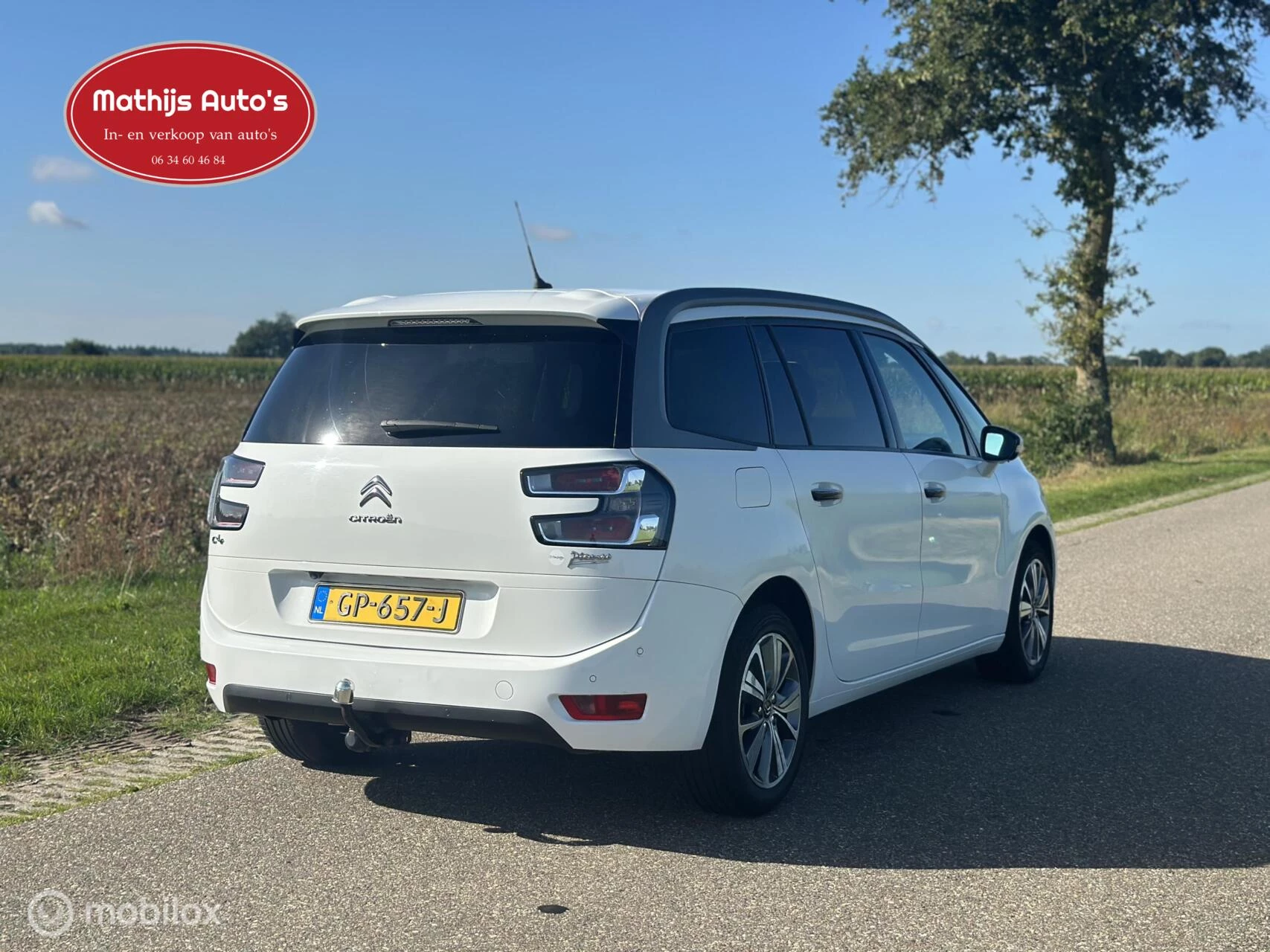 Hoofdafbeelding Citroën Grand C4 Picasso