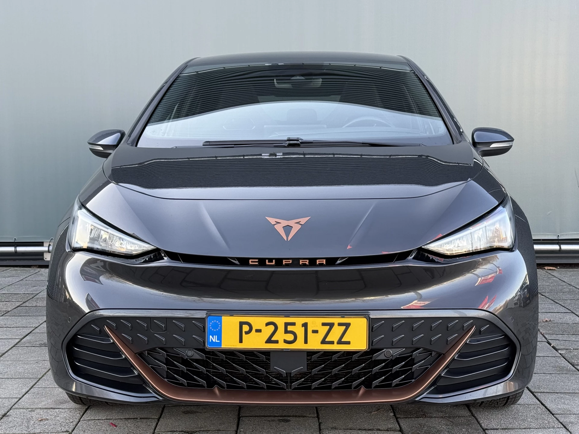 Hoofdafbeelding CUPRA Born