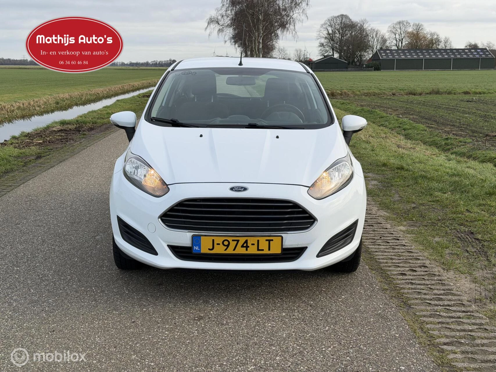 Hoofdafbeelding Ford Fiesta