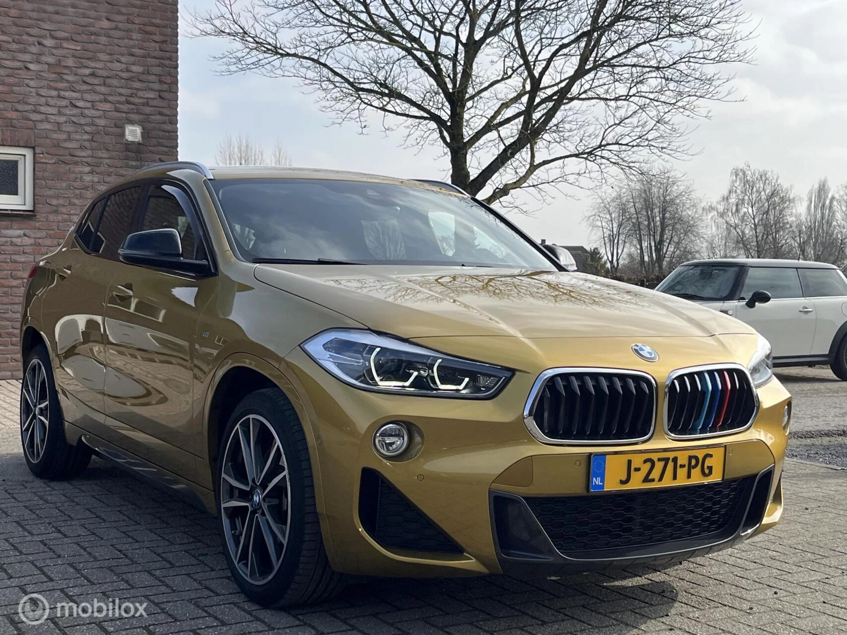 Hoofdafbeelding BMW X2