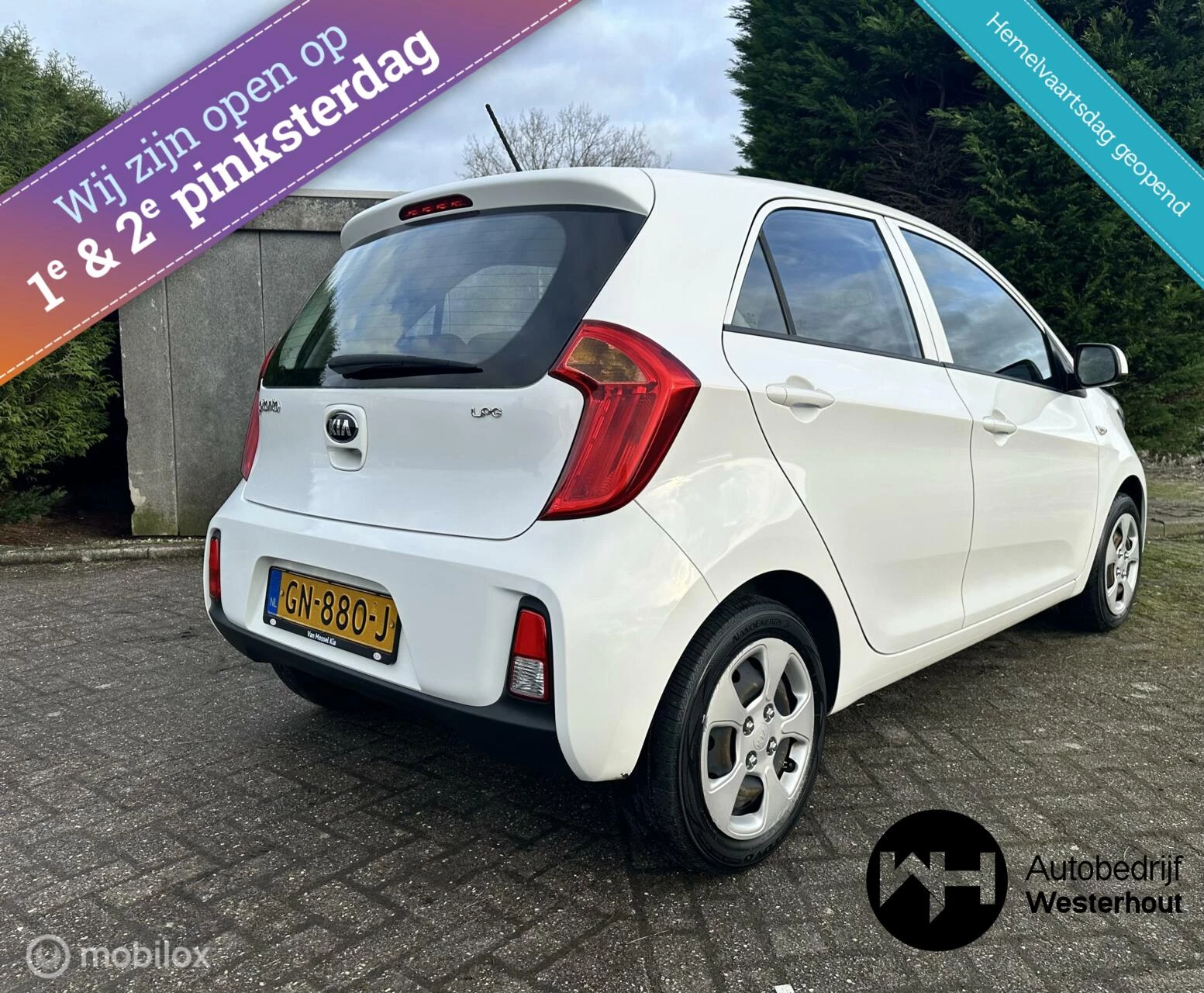 Hoofdafbeelding Kia Picanto