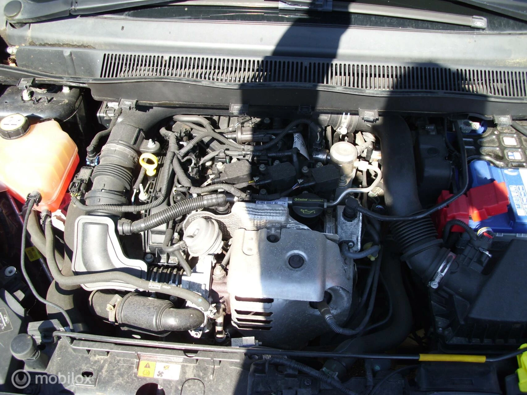 Hoofdafbeelding Ford B-MAX