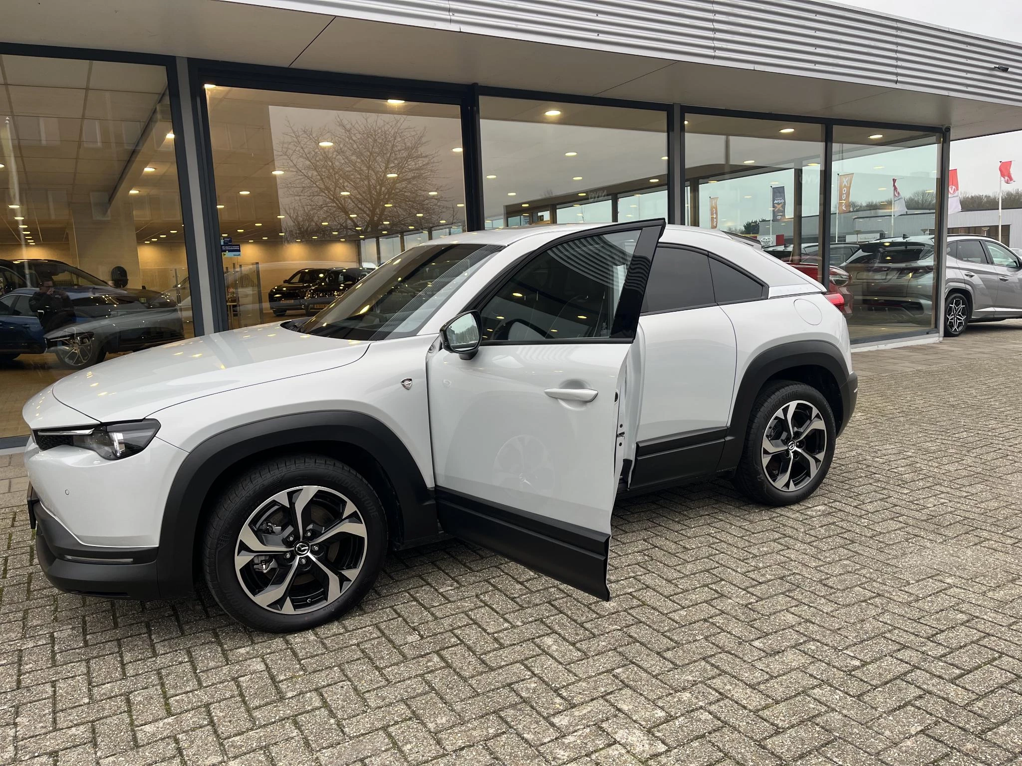 Hoofdafbeelding Mazda MX-30