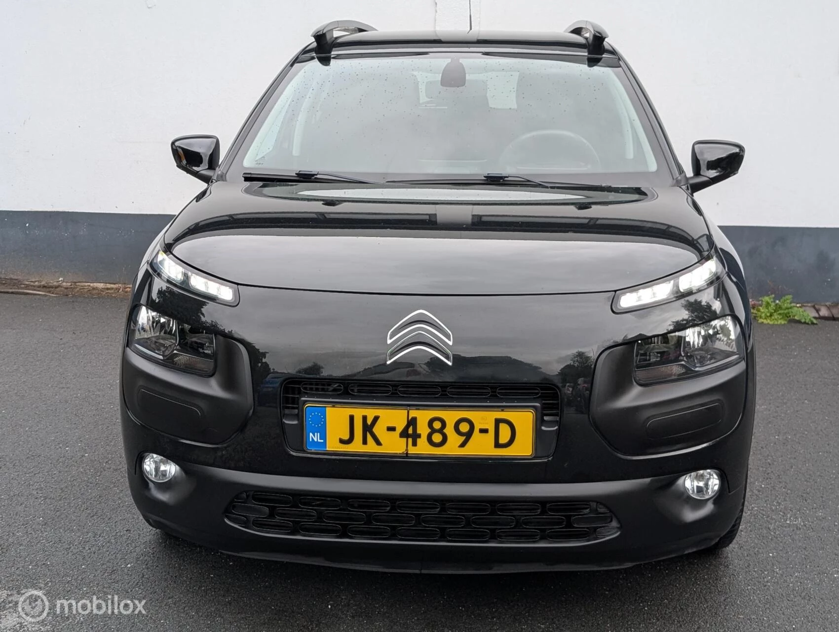 Hoofdafbeelding Citroën C4 Cactus