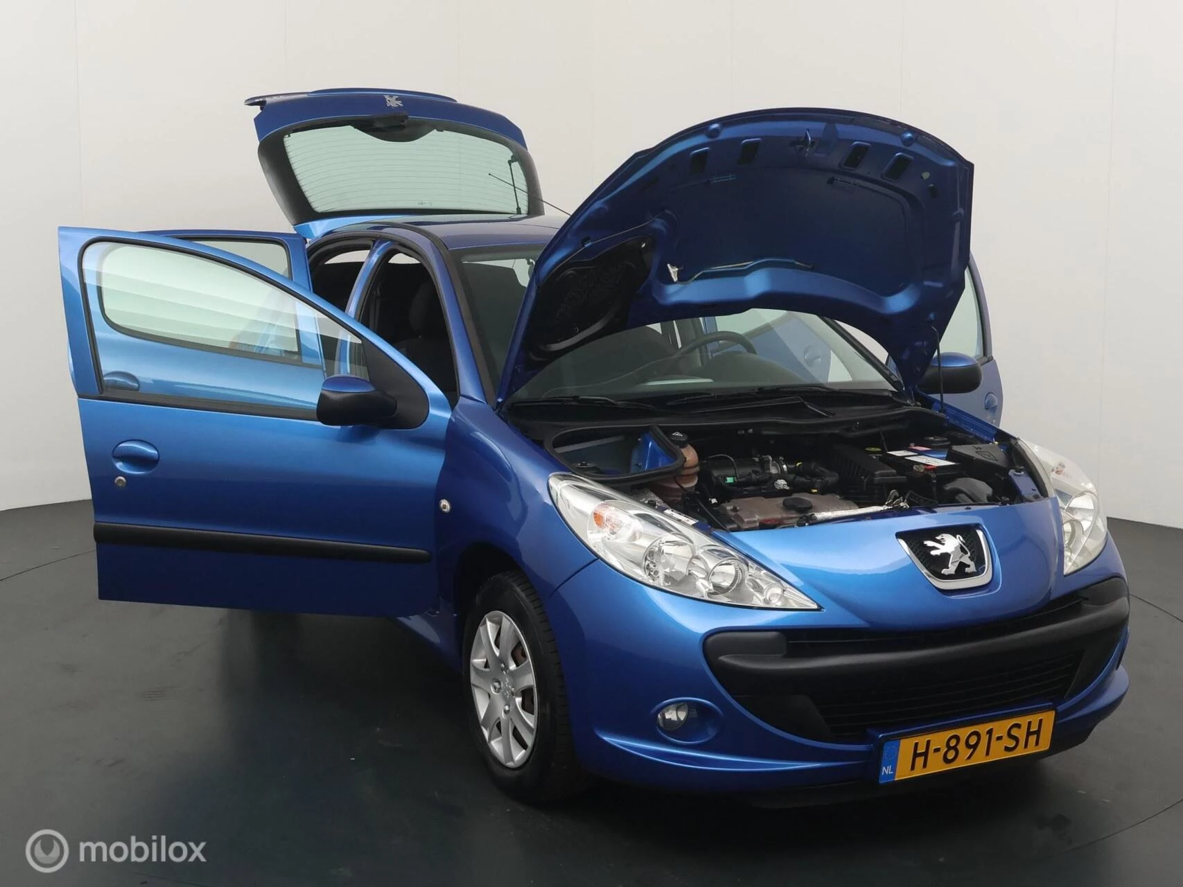 Hoofdafbeelding Peugeot 206