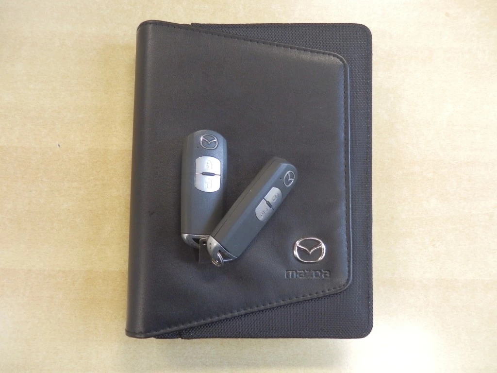 Hoofdafbeelding Mazda 2