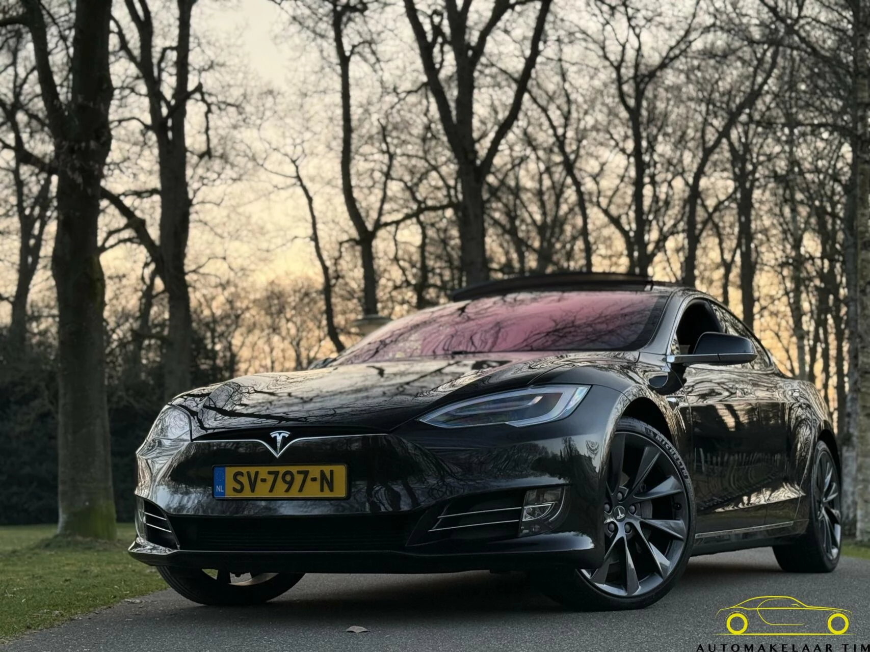 Hoofdafbeelding Tesla Model S