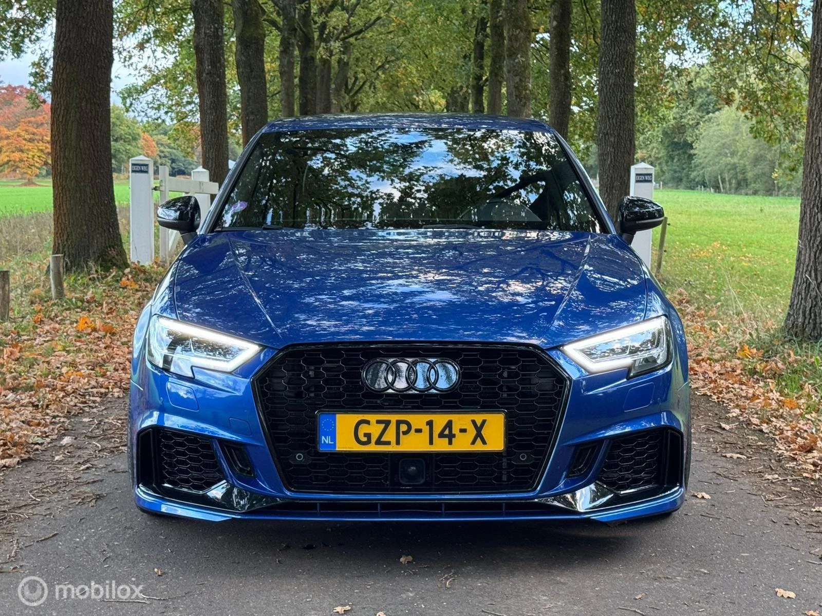 Hoofdafbeelding Audi S3