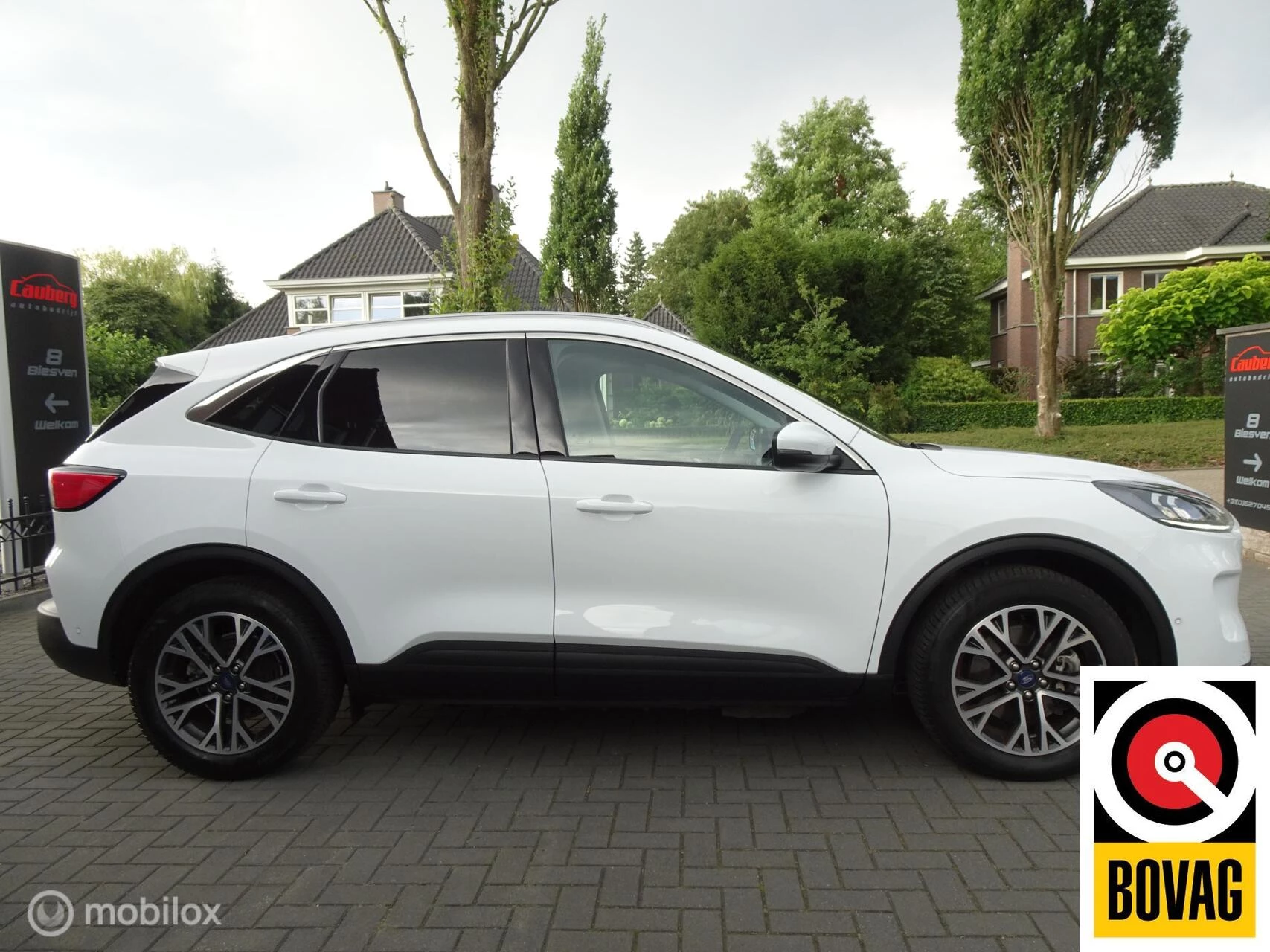 Hoofdafbeelding Ford Kuga