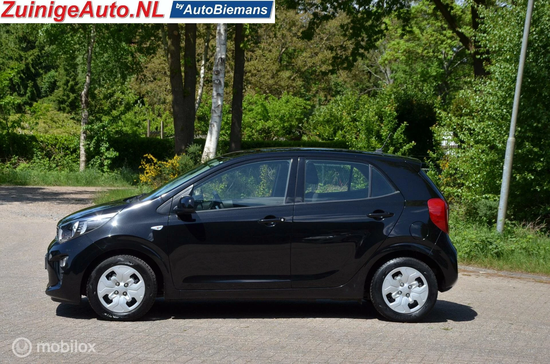 Hoofdafbeelding Kia Picanto