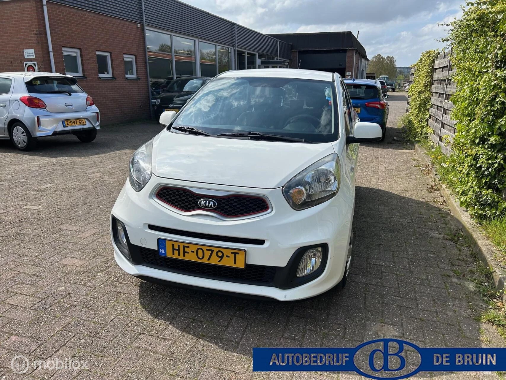Hoofdafbeelding Kia Picanto