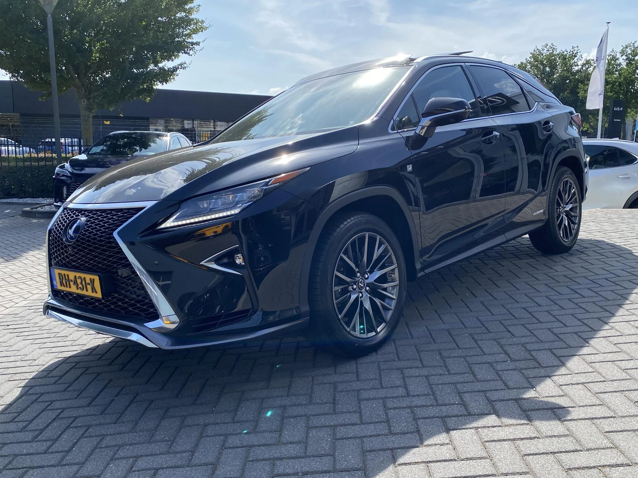 Hoofdafbeelding Lexus RX