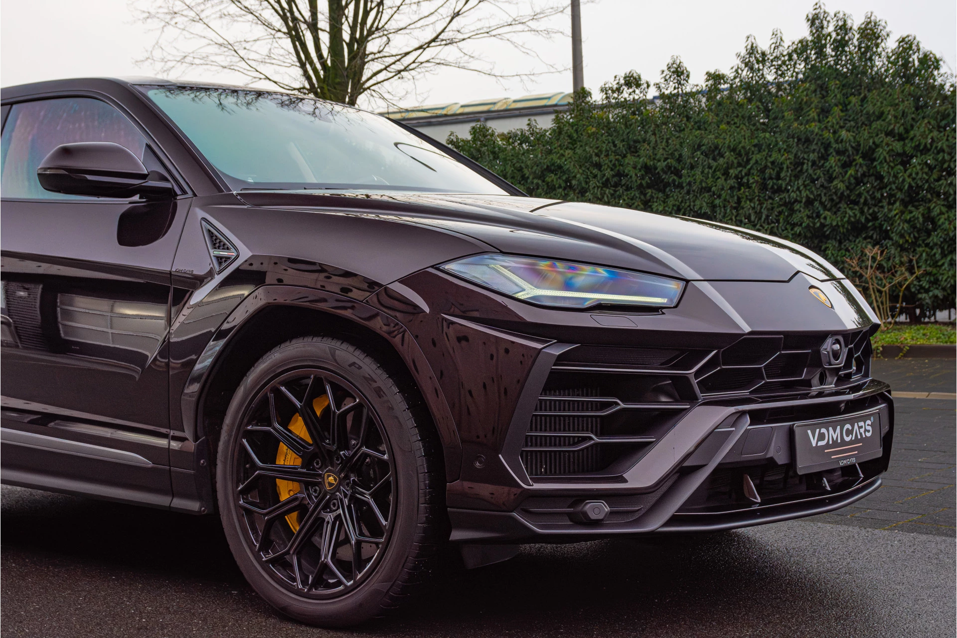 Hoofdafbeelding Lamborghini Urus