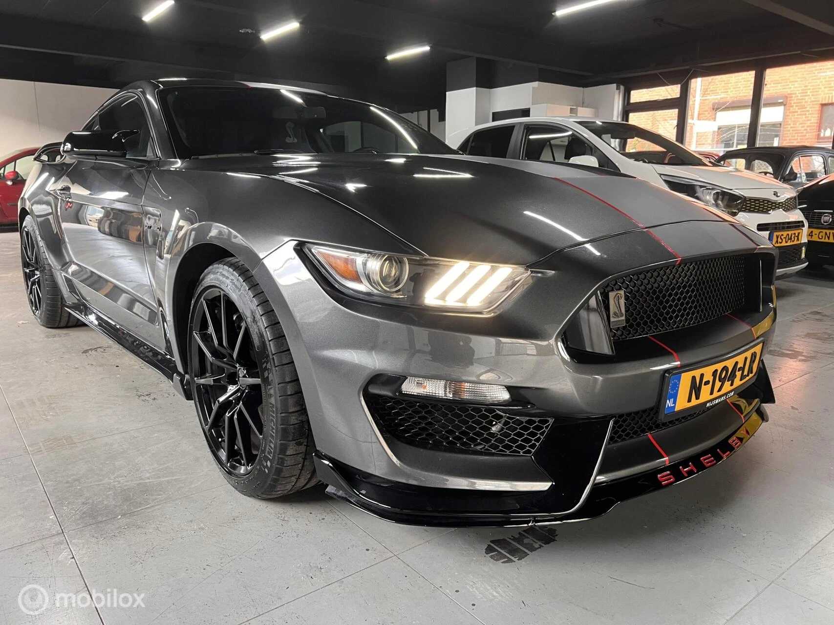 Hoofdafbeelding Ford GT