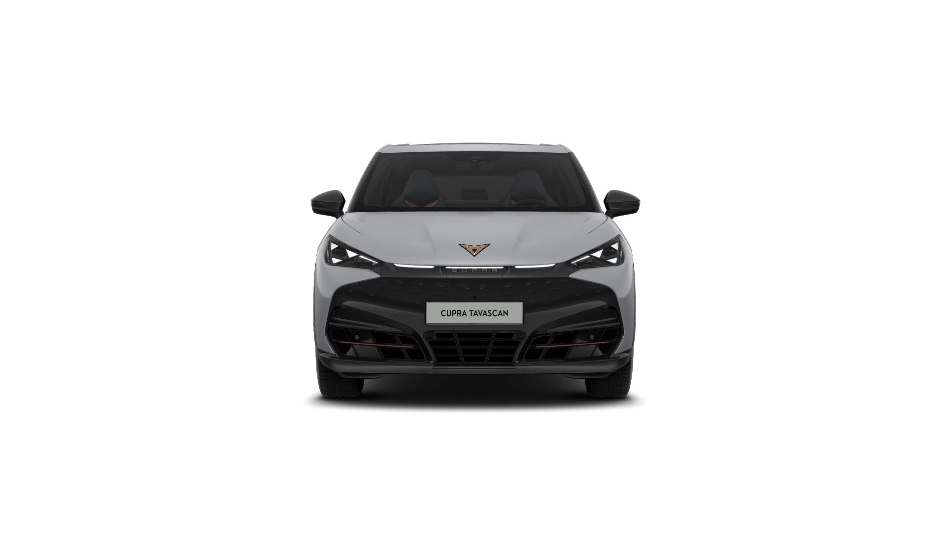 Hoofdafbeelding CUPRA Tavascan