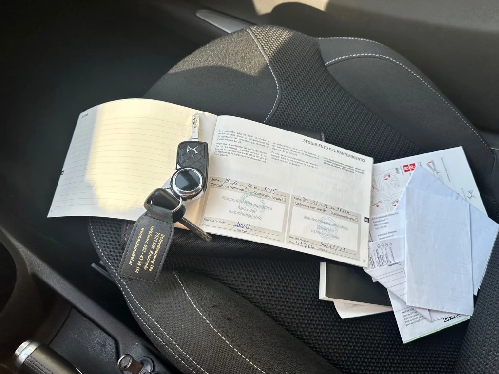 Hoofdafbeelding DS DS 3