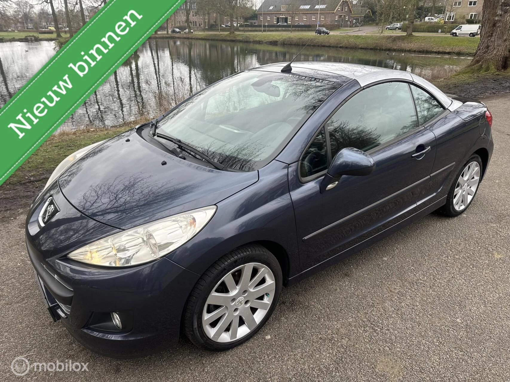Hoofdafbeelding Peugeot 207