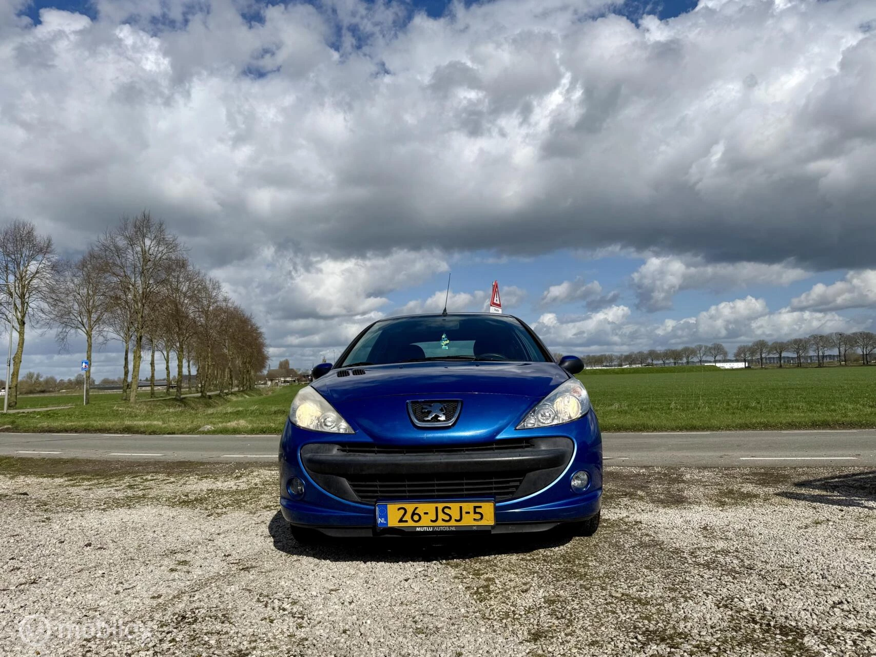 Hoofdafbeelding Peugeot 206