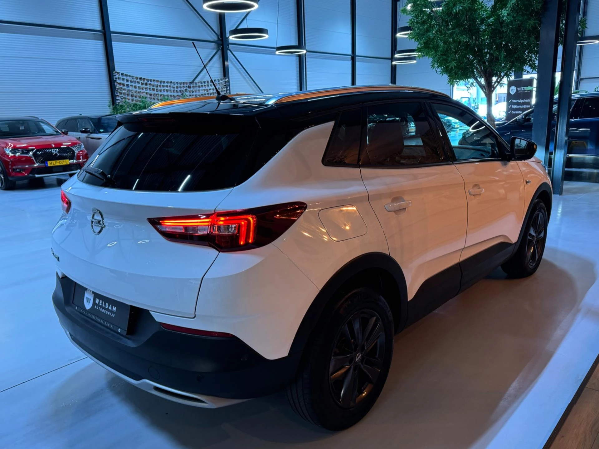 Hoofdafbeelding Opel Grandland X