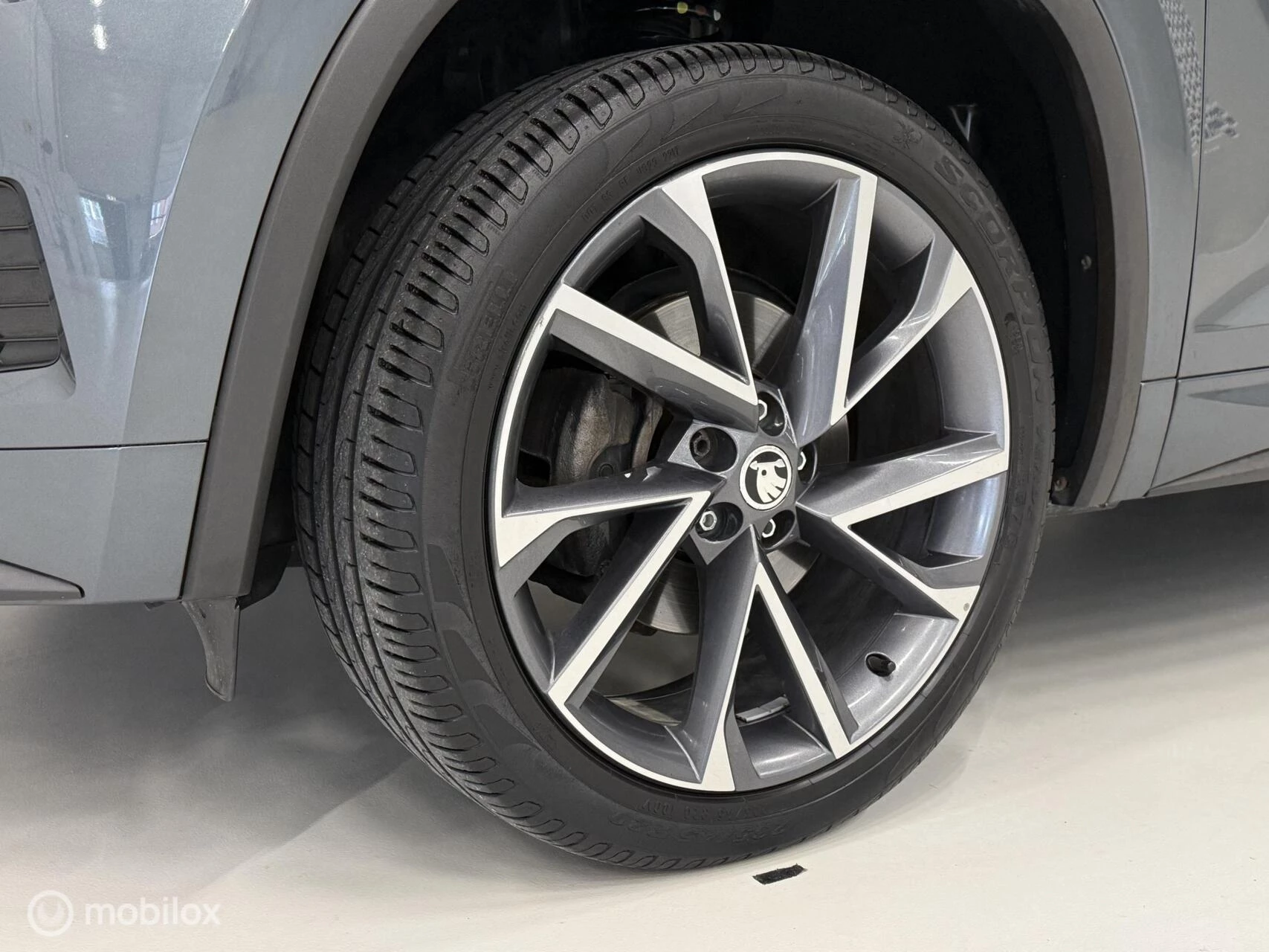 Hoofdafbeelding Škoda Kodiaq