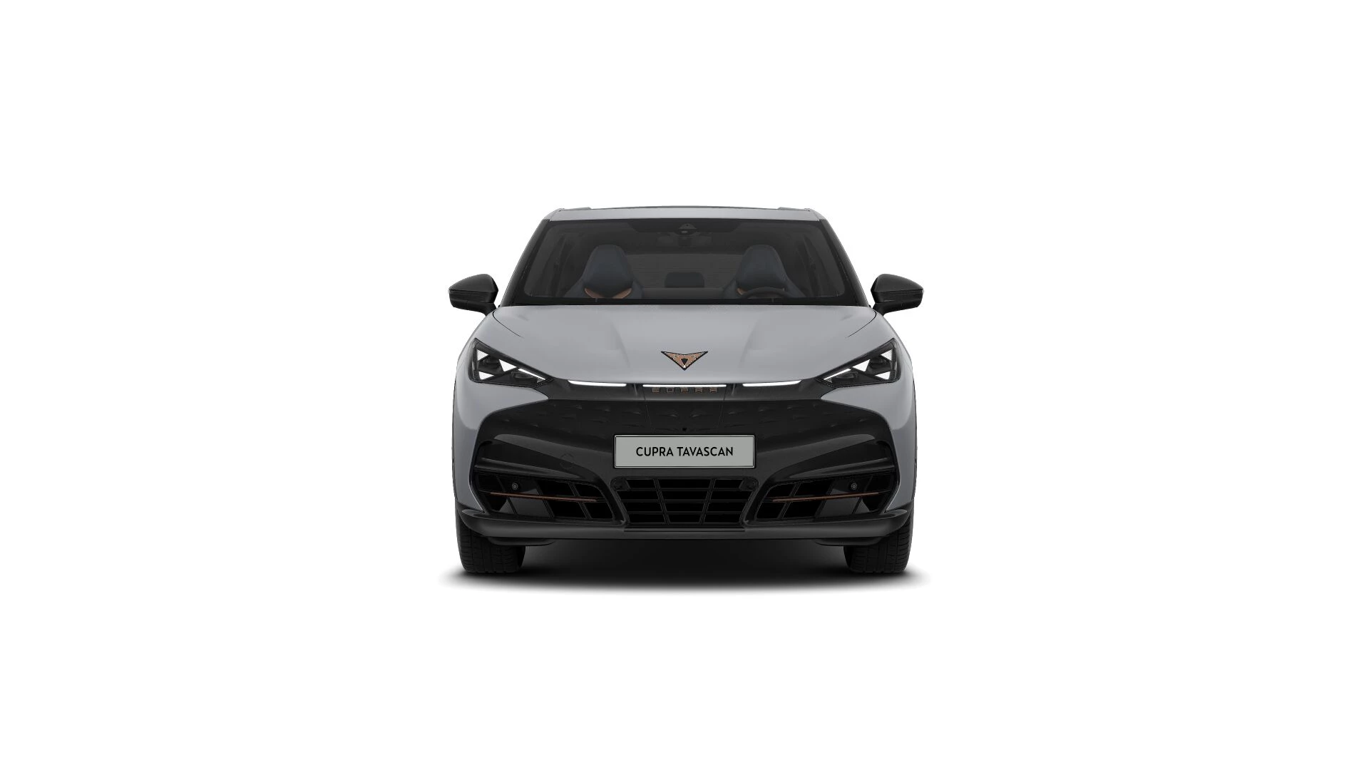 Hoofdafbeelding CUPRA Tavascan