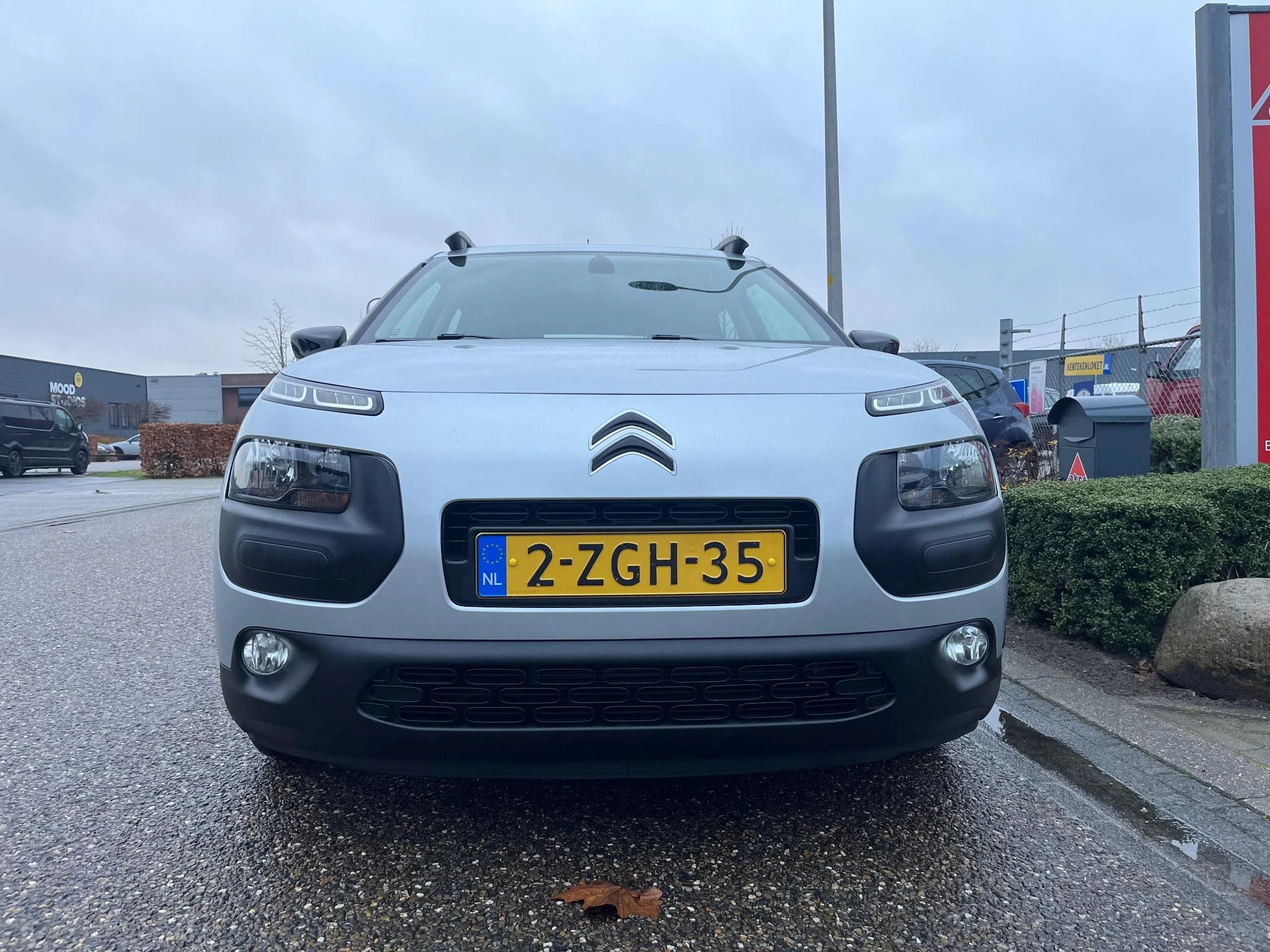 Hoofdafbeelding Citroën C4 Cactus