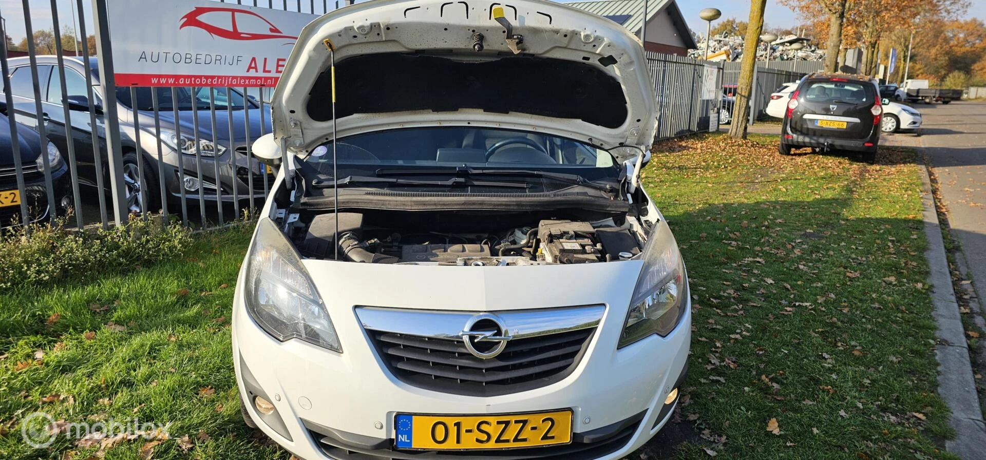 Hoofdafbeelding Opel Meriva
