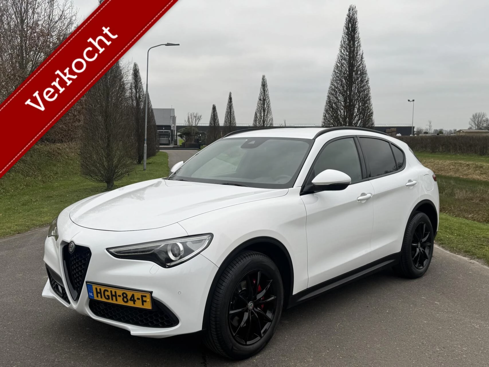 Hoofdafbeelding Alfa Romeo Stelvio