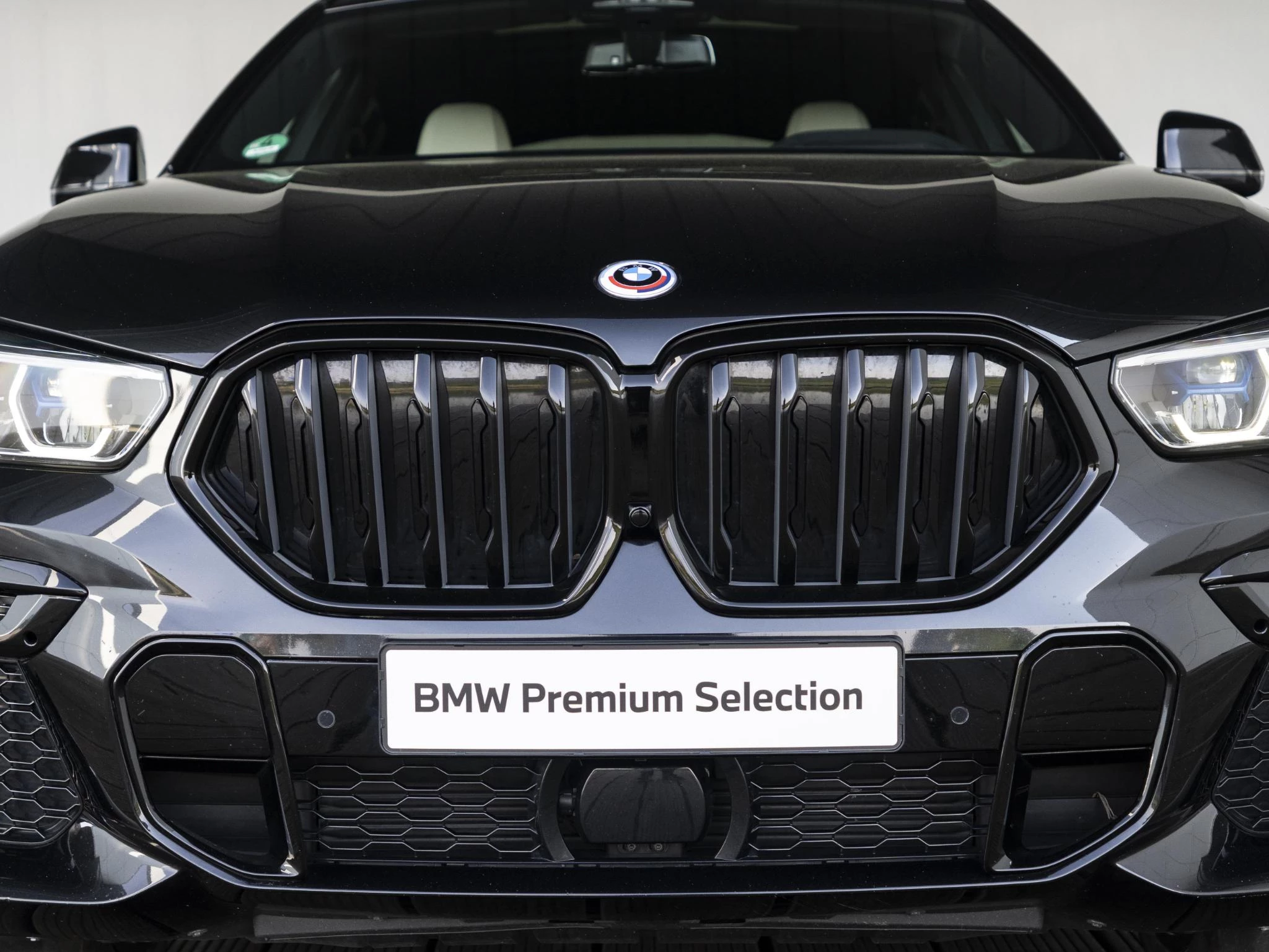 Hoofdafbeelding BMW X6