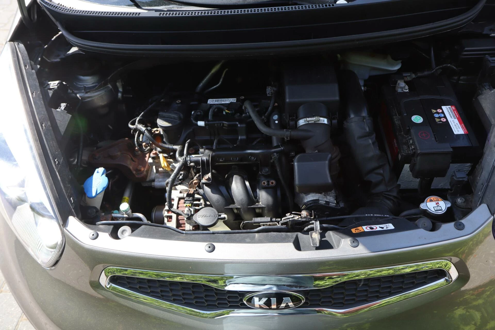 Hoofdafbeelding Kia Picanto
