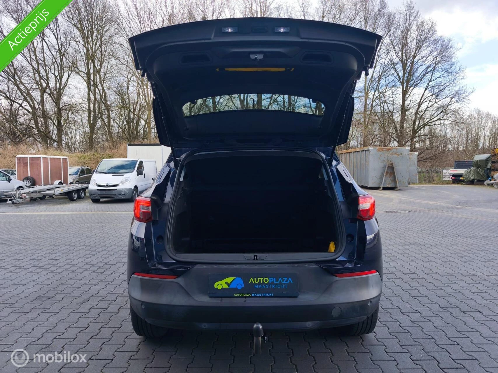 Hoofdafbeelding Opel Grandland X