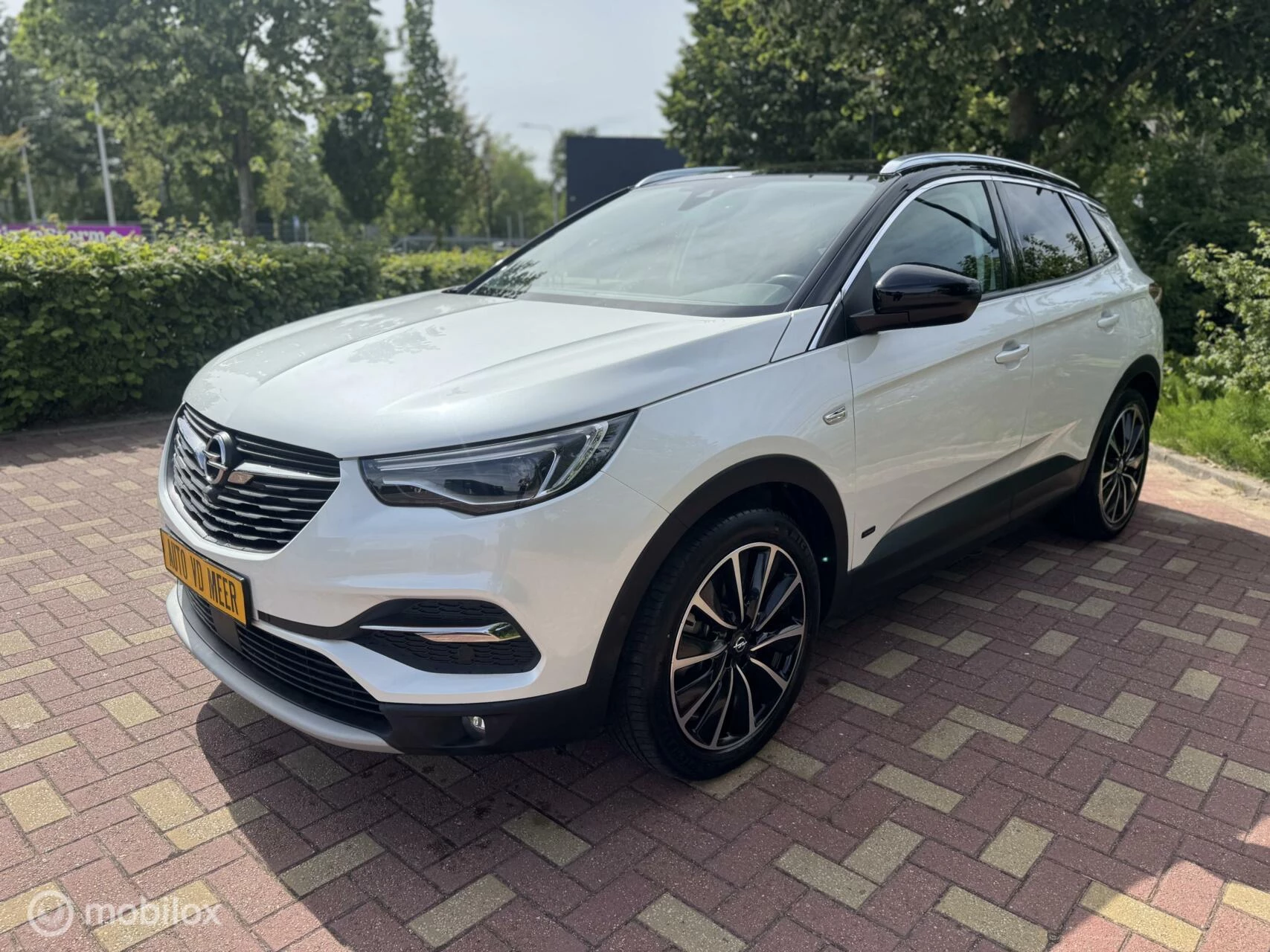 Hoofdafbeelding Opel Grandland X