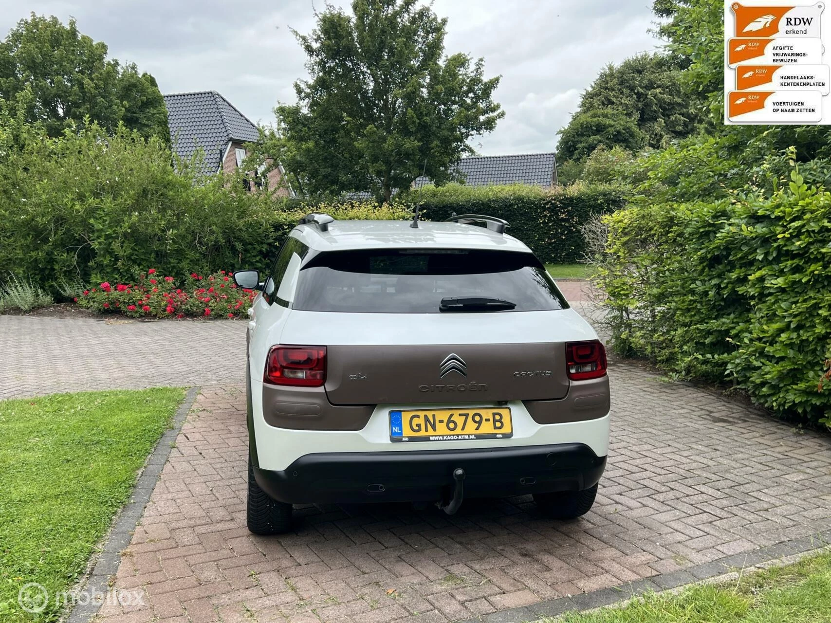 Hoofdafbeelding Citroën C4 Cactus