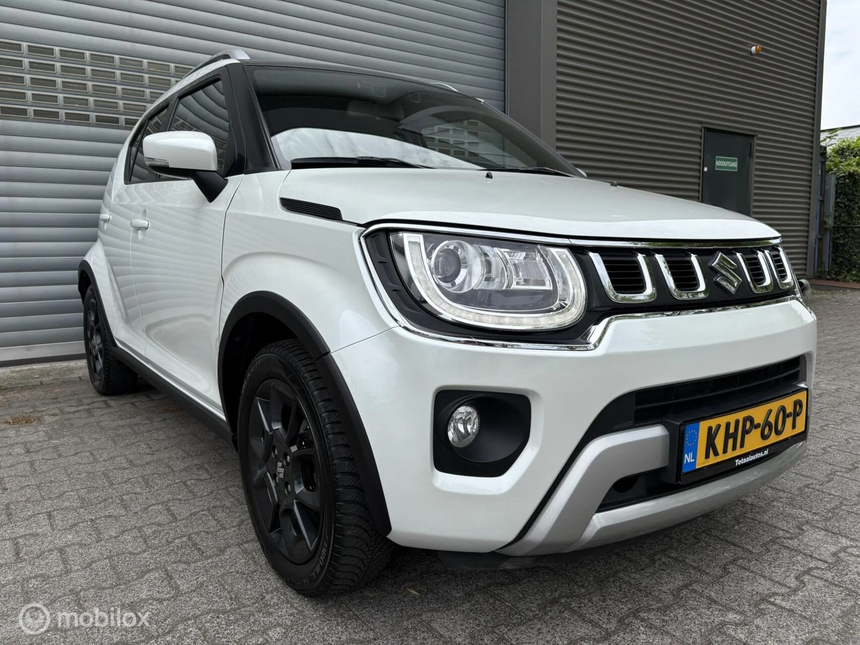 Hoofdafbeelding Suzuki Ignis