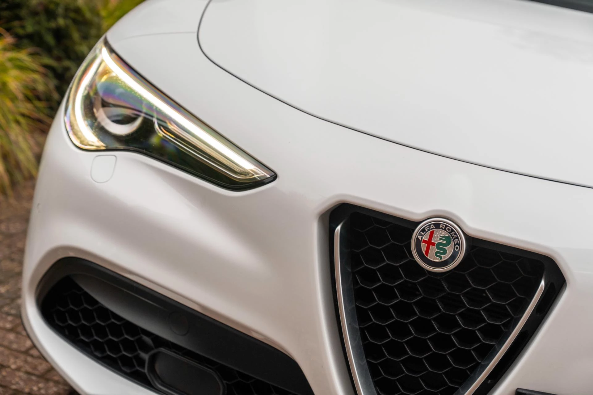 Hoofdafbeelding Alfa Romeo Stelvio