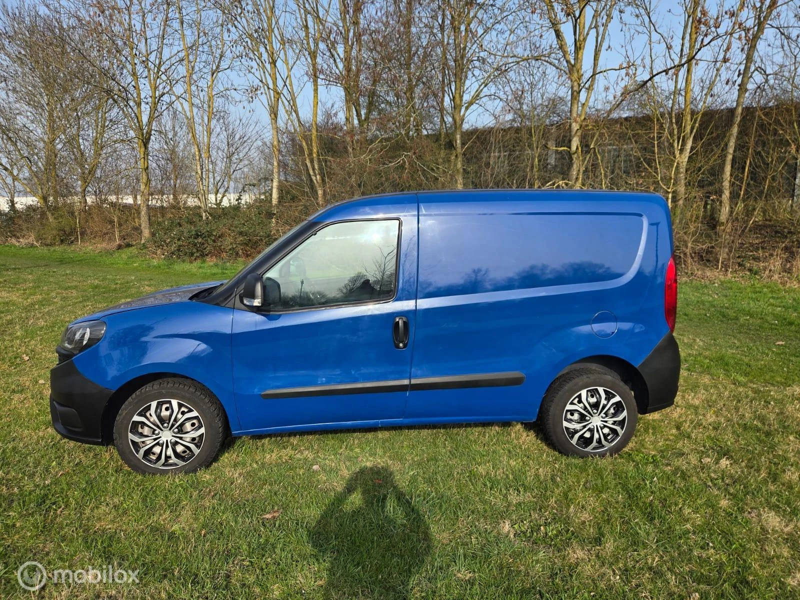 Hoofdafbeelding Fiat Doblò