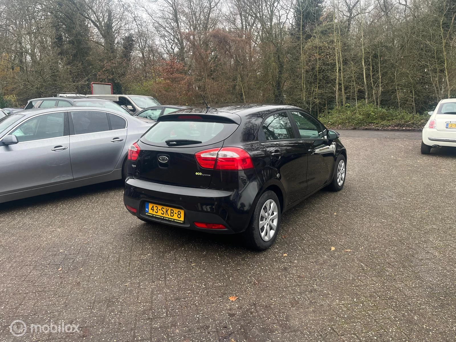 Hoofdafbeelding Kia Rio