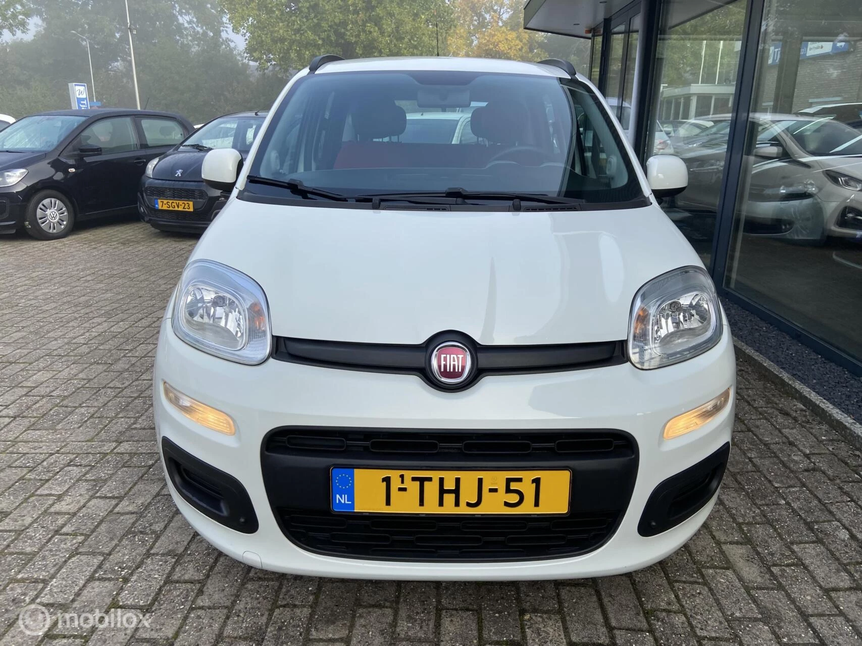 Hoofdafbeelding Fiat Panda