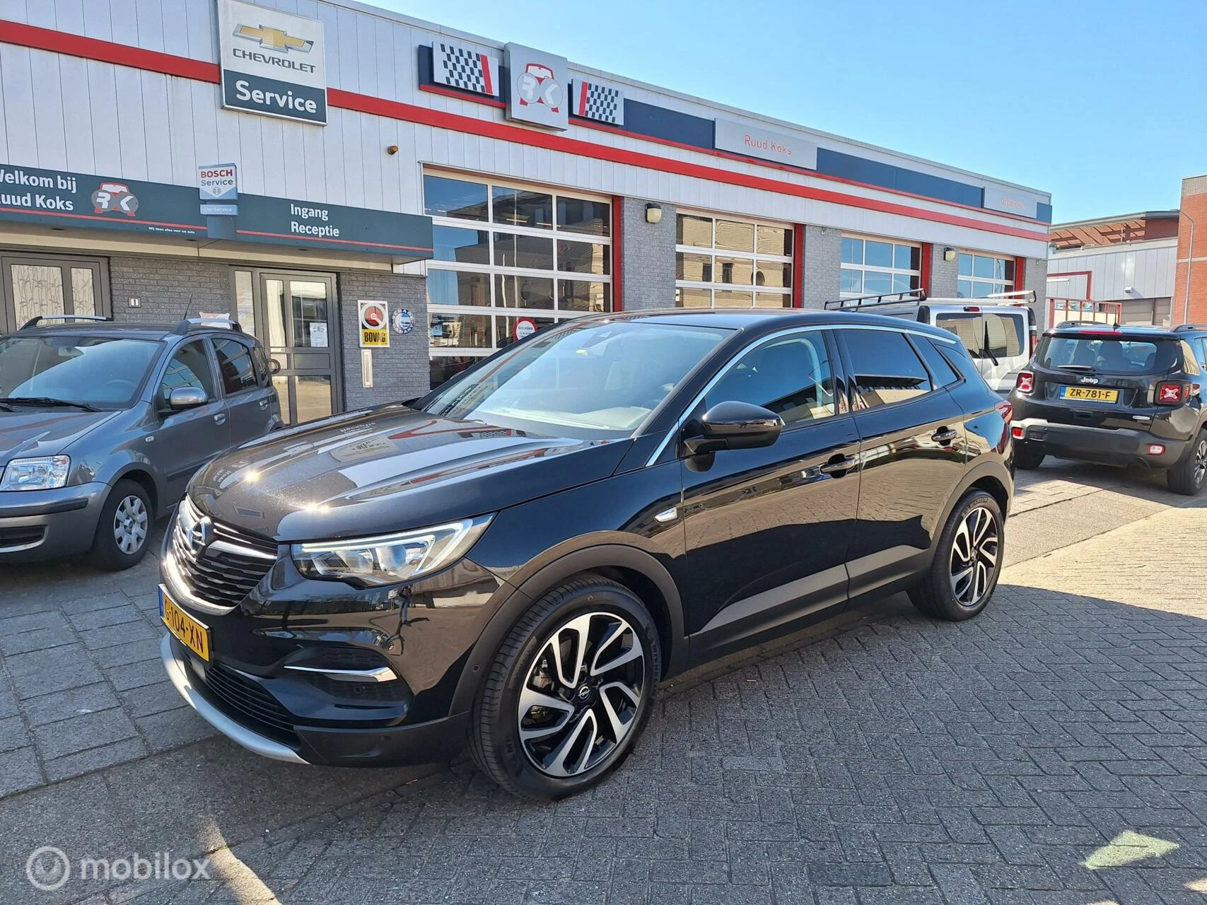 Hoofdafbeelding Opel Grandland X