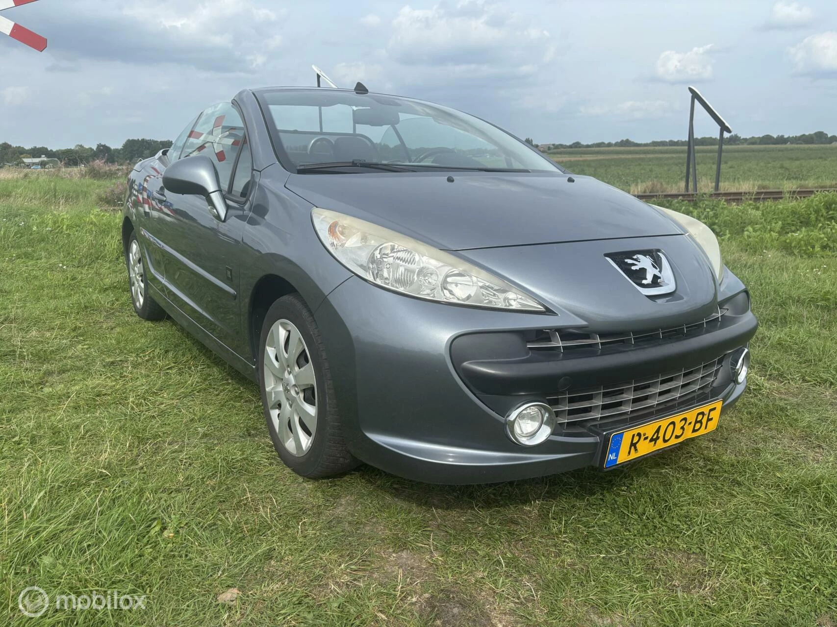 Hoofdafbeelding Peugeot 207
